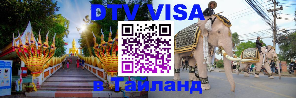 Сколько стоит DTV виза — актуальные цены, оформление даже без документов - 